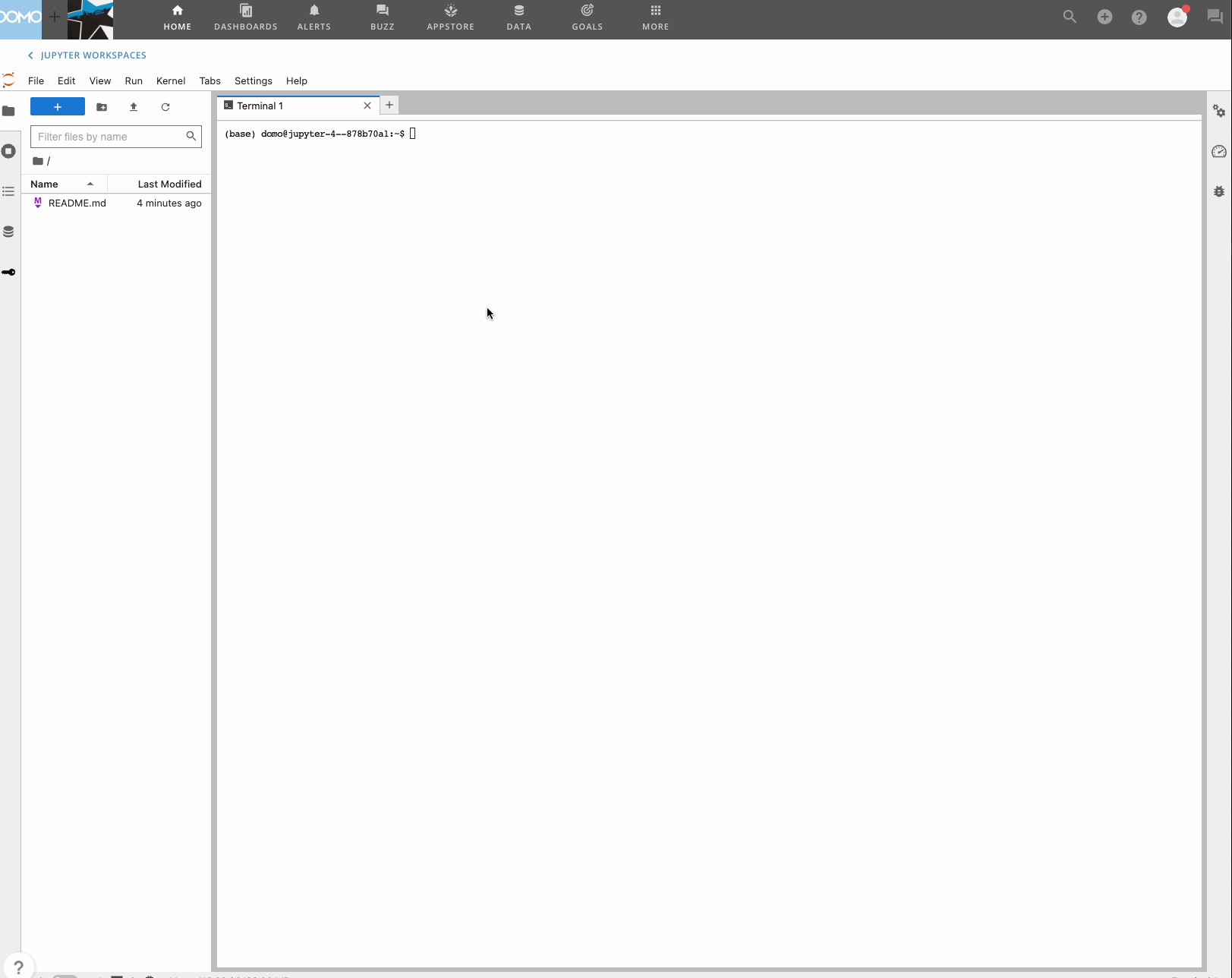 Jupyter notebook CLI demo